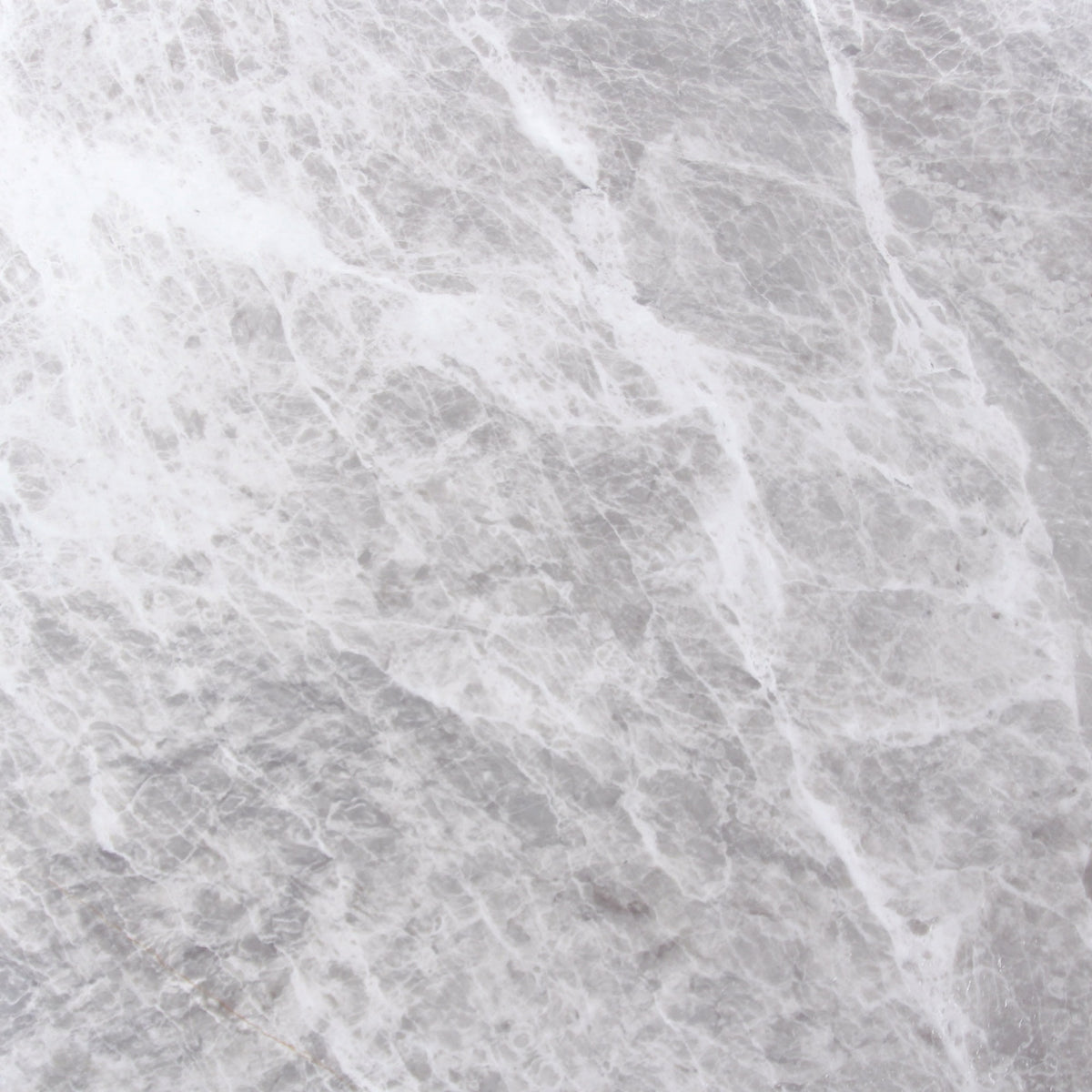 Nordic Grey Honed 24'' x 24''  x 5/8'' Field Tile