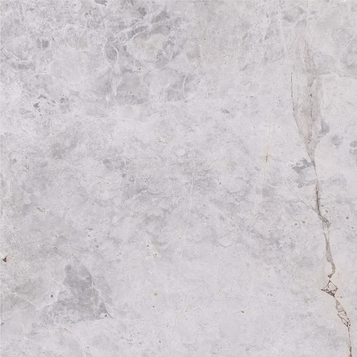 Tundra Grey Honed 16'' x 16''  x 5/8'' Field Tile