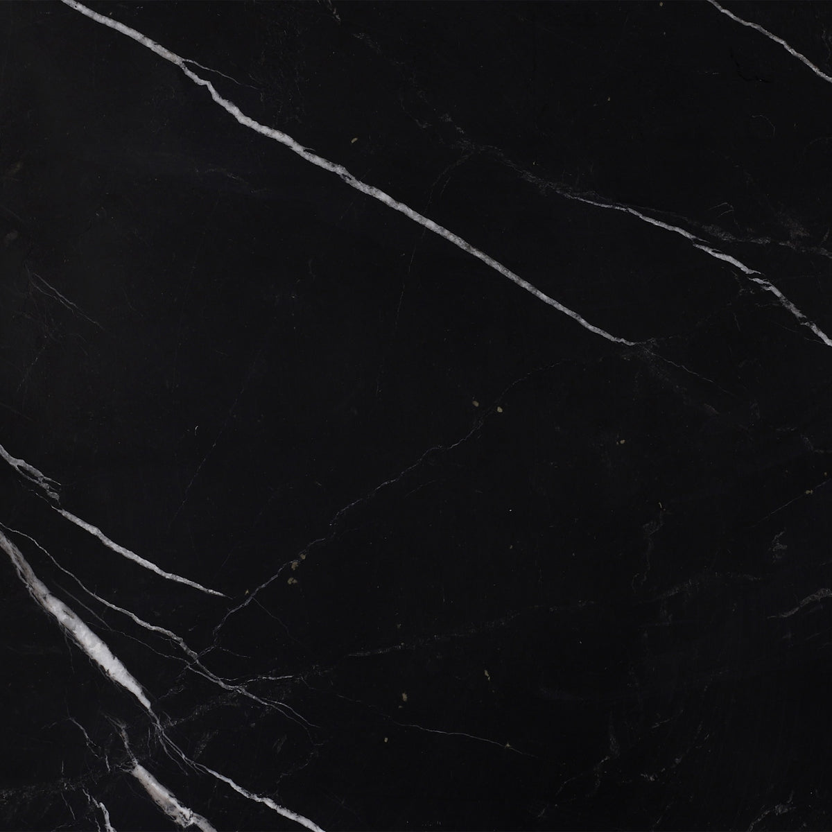 Black Silk Polished 12'' x 12''  x 3/8'' Field Tile
