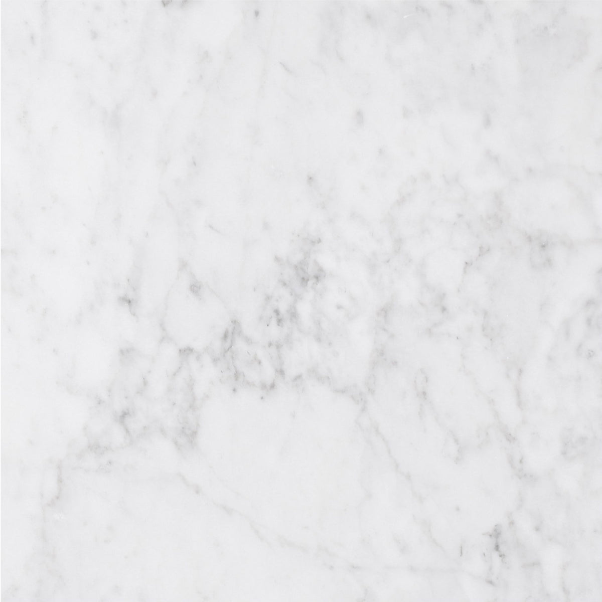 Alba Vera Honed 18'' x 18''  x 1/2'' Field Tile