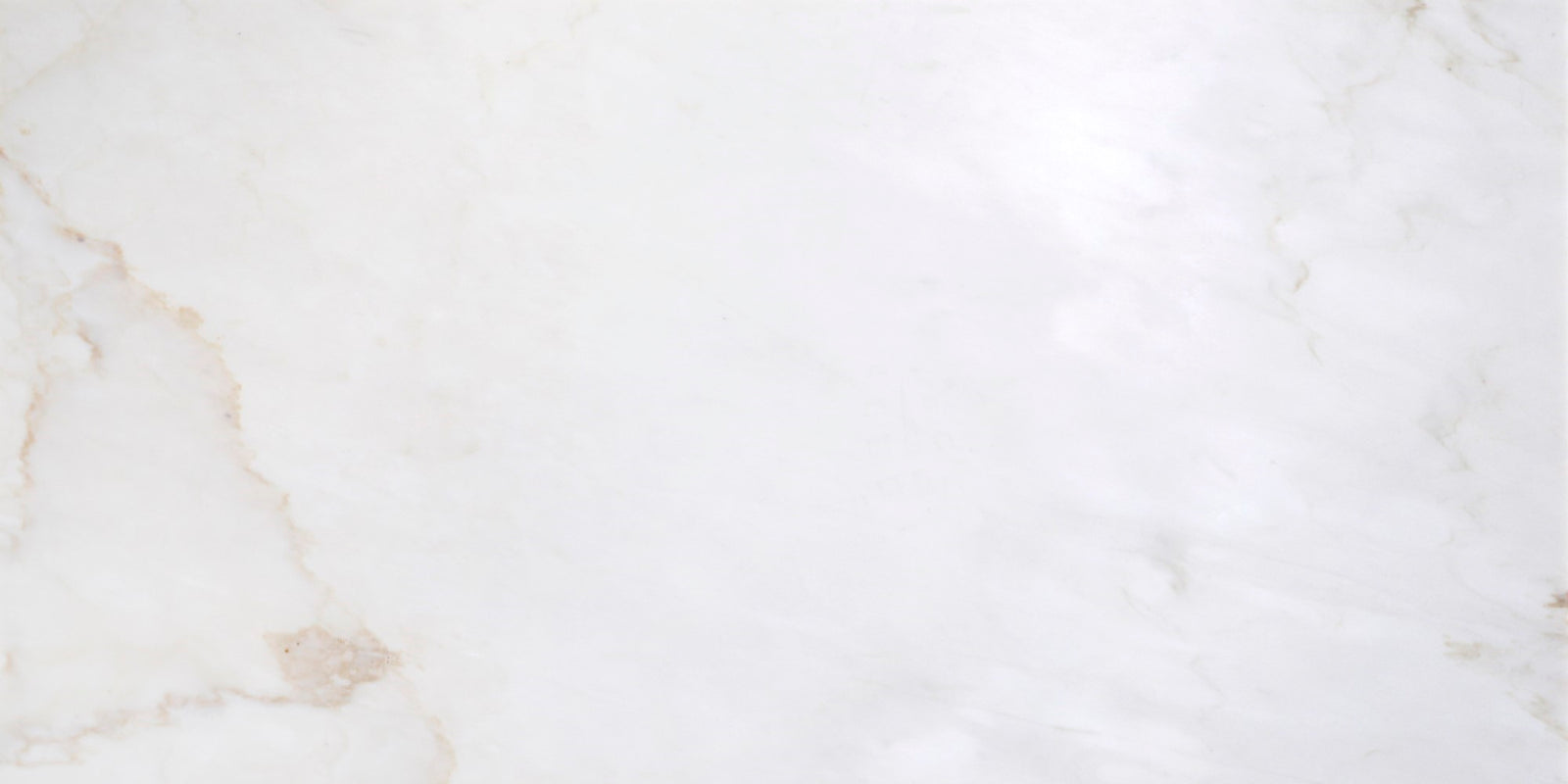 Cremo Delicato Honed 12'' x 24''  x 3/8'' Field Tile Building Materials 